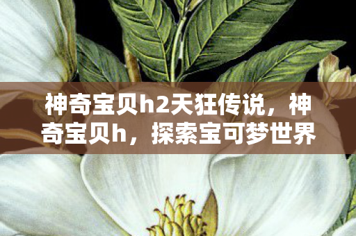 神奇宝贝h2天狂传说,神奇宝贝h,探索宝可梦世界的奇妙之旅 神奇宝贝h2天狂传说,神奇宝贝h,探索宝可梦世界的奇妙之旅