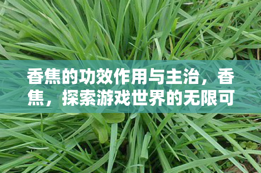 香焦的功效作用与主治,香焦,探索游戏世界的无限可能 香焦的功效作用与主治,香焦,探索游戏世界的无限可能