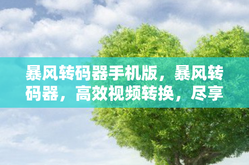 暴风转码器手机版,暴风转码器,高效视频转换,尽享多媒体盛宴 暴风转码器手机版,暴风转码器,高效视频转换,尽享多媒体盛宴