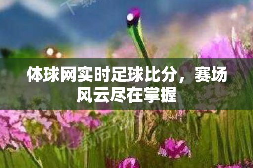 体球网实时足球比分,赛场风云尽在掌握 体球网实时足球比分,赛场风云尽在掌握