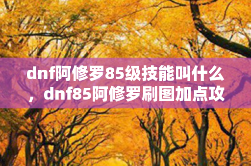 dnf阿修罗85级技能叫什么,dnf85阿修罗刷图加点攻略 dnf阿修罗85级技能叫什么,dnf85阿修罗刷图加点攻略