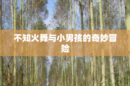 不知火舞与小男孩的奇妙冒险 不知火舞与小男孩的奇妙冒险
