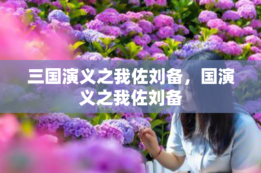 三国演义之我佐刘备，国演义之我佐刘备