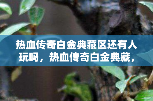 热血传奇白金典藏区还有人玩吗,热血传奇白金典藏,重温经典,珍藏传奇 热血传奇白金典藏区还有人玩吗,热血传奇白金典藏,重温经典,珍藏传奇