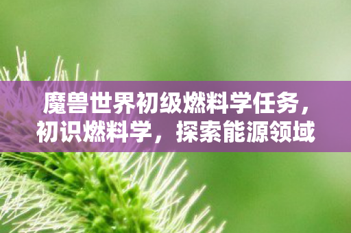 魔兽世界初级燃料学任务,初识燃料学,探索能源领域的未来趋势 魔兽世界初级燃料学任务,初识燃料学,探索能源领域的未来趋势