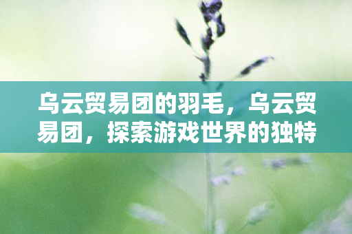 乌云贸易团的羽毛,乌云贸易团,探索游戏世界的独特魅力 乌云贸易团的羽毛,乌云贸易团,探索游戏世界的独特魅力