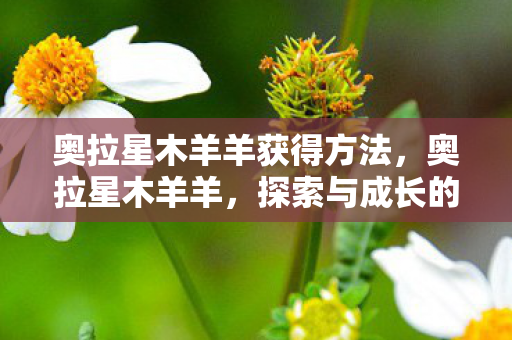 奥拉星木羊羊获得方法,奥拉星木羊羊,探索与成长的奇妙旅程 奥拉星木羊羊获得方法,奥拉星木羊羊,探索与成长的奇妙旅程