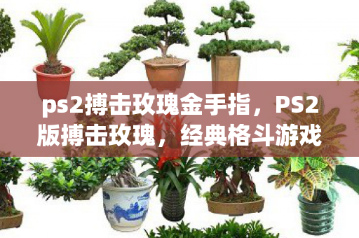 ps2搏击玫瑰金手指,PS2版搏击玫瑰,经典格斗游戏的魅力与回忆 ps2搏击玫瑰金手指,PS2版搏击玫瑰,经典格斗游戏的魅力与回忆