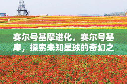 赛尔号基摩进化，赛尔号基摩，探索未知星球的奇幻之旅