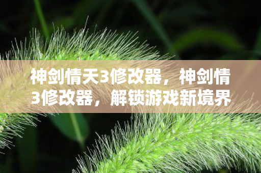 神剑情天3修改器,神剑情3修改器,解锁游戏新境界的神奇工具 神剑情天3修改器,神剑情3修改器,解锁游戏新境界的神奇工具