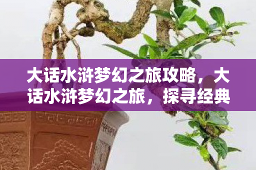 大话水浒梦幻之旅攻略，大话水浒梦幻之旅，探寻经典与梦幻的交汇点