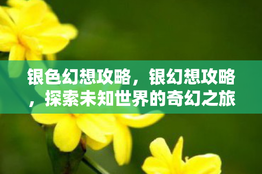 银色幻想攻略,银幻想攻略,探索未知世界的奇幻之旅 银色幻想攻略,银幻想攻略,探索未知世界的奇幻之旅
