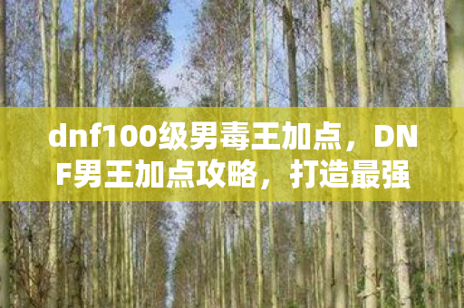 dnf100级男毒王加点,DNF男王加点攻略,打造最强战斗力的关键 dnf100级男毒王加点,DNF男王加点攻略,打造最强战斗力的关键