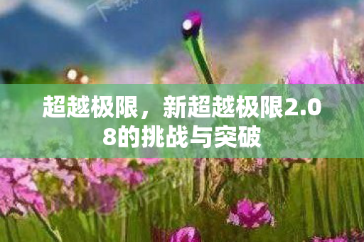 超越极限,新超越极限2.08的挑战与突破 超越极限,新超越极限2.08的挑战与突破