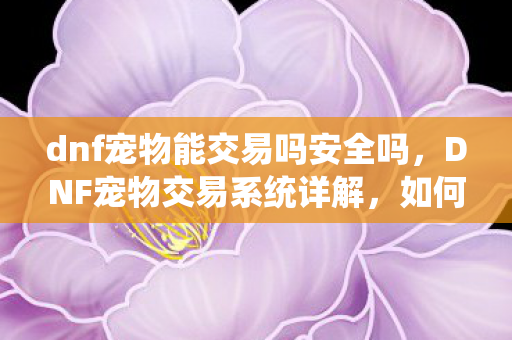 dnf宠物能交易吗安全吗,DNF宠物交易系统详解,如何合法合规地进行宠物交易 dnf宠物能交易吗安全吗,DNF宠物交易系统详解,如何合法合规地进行宠物交易