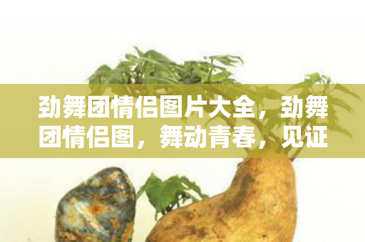 劲舞团情侣图片大全,劲舞团情侣图,舞动青春,见证爱情 劲舞团情侣图片大全,劲舞团情侣图,舞动青春,见证爱情