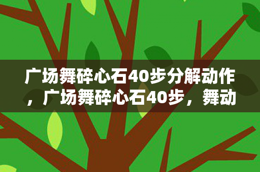 广场舞碎心石40步分解动作,广场舞碎心石40步,舞动生活的艺术 广场舞碎心石40步分解动作,广场舞碎心石40步,舞动生活的艺术