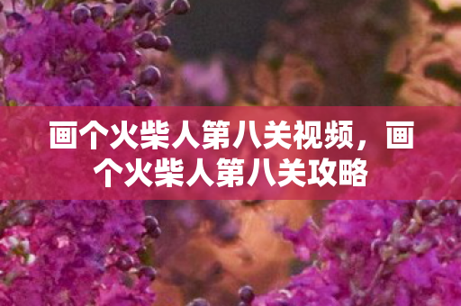 画个火柴人第八关视频,画个火柴人第八关攻略 画个火柴人第八关视频,画个火柴人第八关攻略