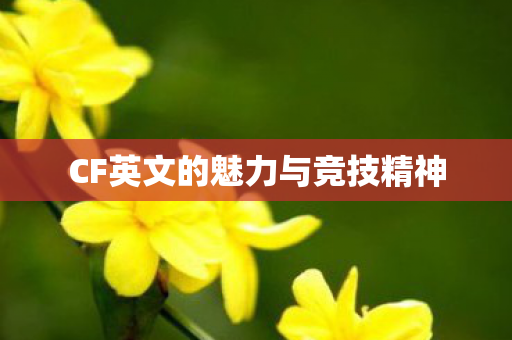 CF英文的魅力与竞技精神 CF英文的魅力与竞技精神