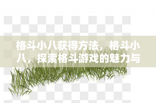 格斗小八获得方法，格斗小八，探索格斗游戏的魅力与未来