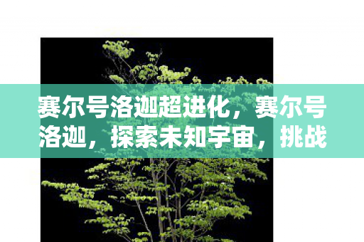 赛尔号洛迦超进化，赛尔号洛迦，探索未知宇宙，挑战无限可能