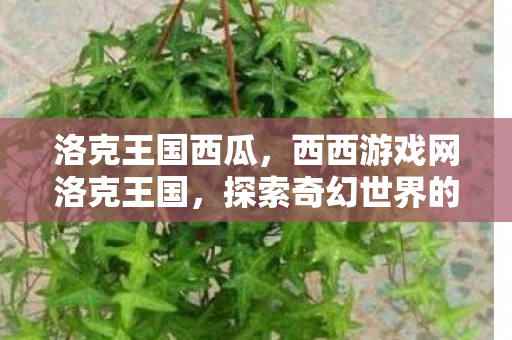 洛克王国西瓜,西西游戏网洛克王国,探索奇幻世界的无限可能 洛克王国西瓜,西西游戏网洛克王国,探索奇幻世界的无限可能