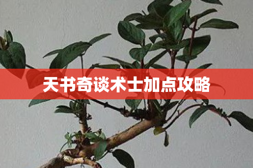 天书奇谈术士加点攻略 天书奇谈术士加点攻略