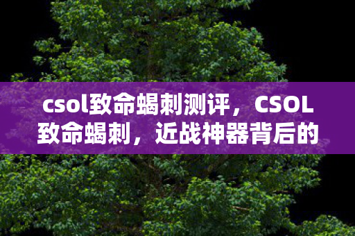 csol致命蝎刺测评，CSOL致命蝎刺，近战神器背后的故事与实战应用