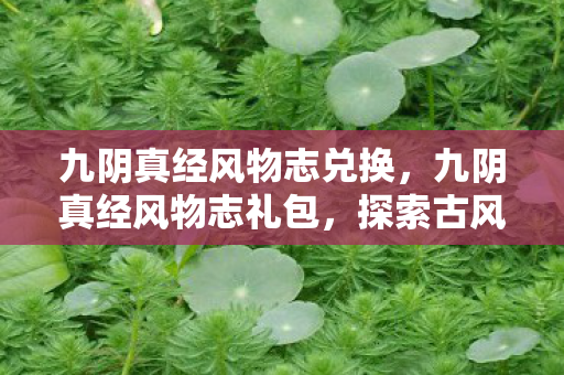 九阴真经风物志兑换,九阴真经风物志礼包,探索古风世界的奇妙之旅 九阴真经风物志兑换,九阴真经风物志礼包,探索古风世界的奇妙之旅
