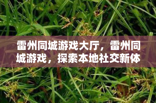 雷州同城游戏大厅,雷州同城游戏,探索本地社交新体验 雷州同城游戏大厅,雷州同城游戏,探索本地社交新体验