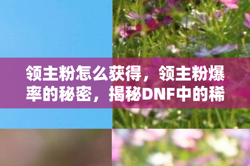 领主粉怎么获得,领主粉爆率的秘密,揭秘DNF中的稀有宝藏 领主粉怎么获得,领主粉爆率的秘密,揭秘DNF中的稀有宝藏