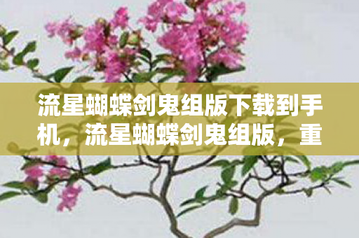 流星蝴蝶剑鬼组版下载到手机,流星蝴蝶剑鬼组版,重温经典,再续江湖情仇 流星蝴蝶剑鬼组版下载到手机,流星蝴蝶剑鬼组版,重温经典,再续江湖情仇