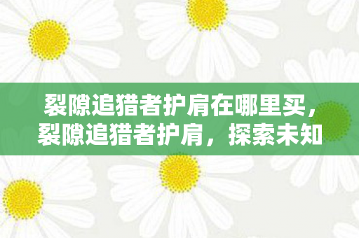 裂隙追猎者护肩在哪里买，裂隙追猎者护肩，探索未知领域的装备传奇