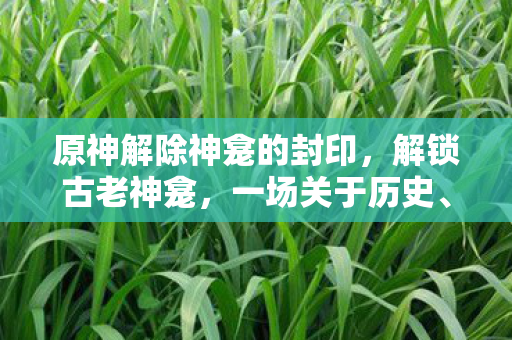 原神解除神龛的封印，解锁古老神龛，一场关于历史、文化与传承的探险