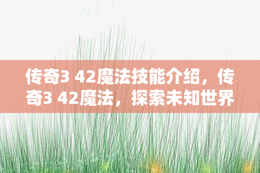 传奇3 42魔法技能介绍,传奇3 42魔法,探索未知世界的神秘力量 传奇3 42魔法技能介绍,传奇3 42魔法,探索未知世界的神秘力量