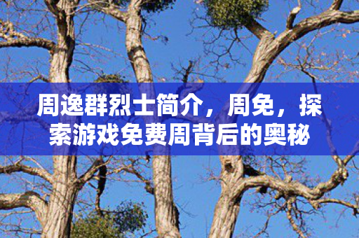 周逸群烈士简介,周免,探索游戏免费周背后的奥秘 周逸群烈士简介,周免,探索游戏免费周背后的奥秘