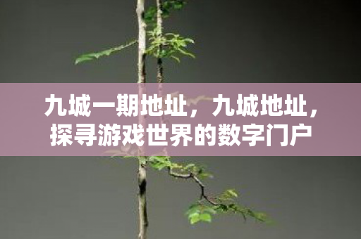 九城一期地址,九城地址,探寻游戏世界的数字门户 九城一期地址,九城地址,探寻游戏世界的数字门户