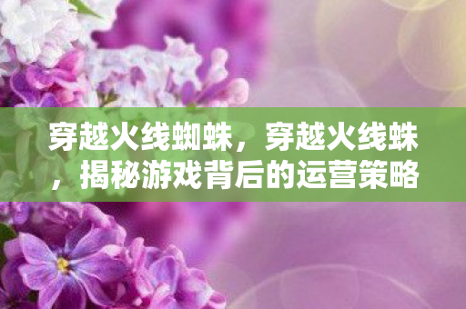 穿越火线蜘蛛，穿越火线蛛，揭秘游戏背后的运营策略与玩家生态