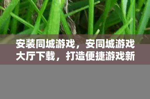 安装同城游戏，安同城游戏大厅下载，打造便捷游戏新体验