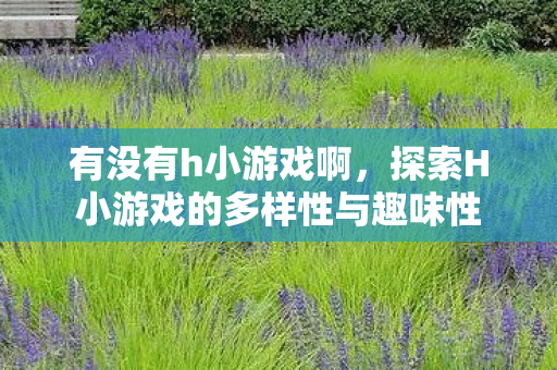 有没有h小游戏啊，探索H小游戏的多样性与趣味性