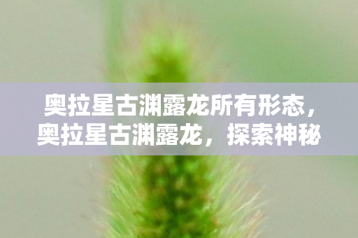 奥拉星古渊露龙所有形态,奥拉星古渊露龙,探索神秘的龙裔传说 奥拉星古渊露龙所有形态,奥拉星古渊露龙,探索神秘的龙裔传说