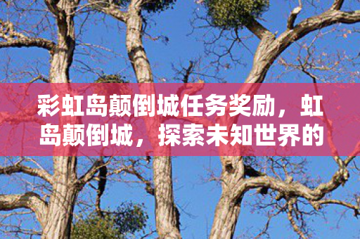 彩虹岛颠倒城任务奖励，虹岛颠倒城，探索未知世界的奇妙之旅