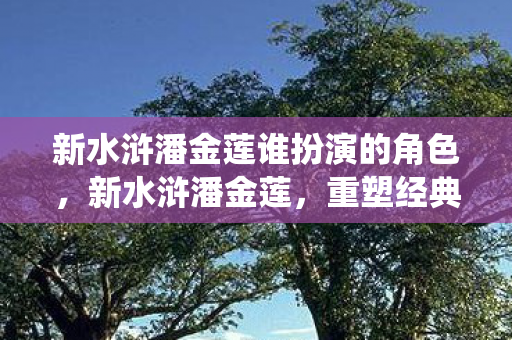 新水浒潘金莲谁扮演的角色，新水浒潘金莲，重塑经典，演绎女性独立与抗争
