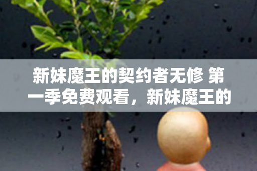新妹魔王的契约者无修 第一季免费观看,新妹魔王的契约者无修,一场视觉盛宴的独家解读 新妹魔王的契约者无修 第一季免费观看,新妹魔王的契约者无修,一场视觉盛宴的独家解读