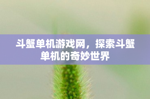 斗蟹单机游戏网,探索斗蟹单机的奇妙世界 斗蟹单机游戏网,探索斗蟹单机的奇妙世界