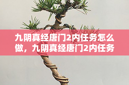 九阴真经唐门2内任务怎么做,九阴真经唐门2内任务,探秘江湖隐秘的武林秘籍 九阴真经唐门2内任务怎么做,九阴真经唐门2内任务,探秘江湖隐秘的武林秘籍