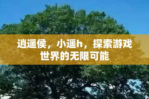 逍遥侯,小遥h,探索游戏世界的无限可能 逍遥侯,小遥h,探索游戏世界的无限可能