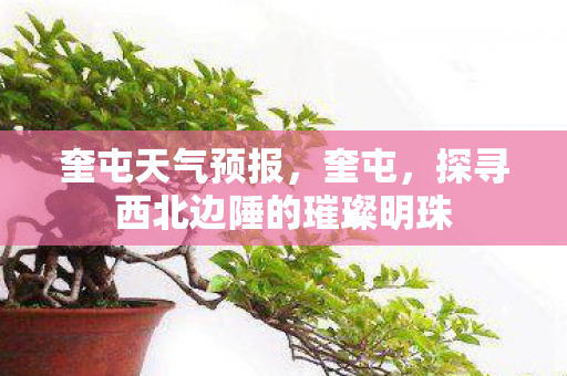 奎屯天气预报,奎屯,探寻西北边陲的璀璨明珠 奎屯天气预报,奎屯,探寻西北边陲的璀璨明珠