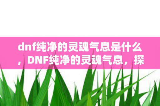 dnf纯净的灵魂气息是什么,DNF纯净的灵魂气息,探索游戏世界的深层魅力 dnf纯净的灵魂气息是什么,DNF纯净的灵魂气息,探索游戏世界的深层魅力