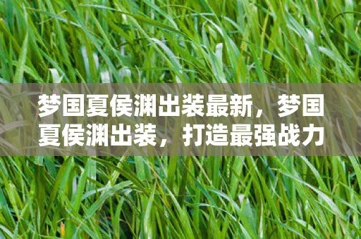 梦国夏侯渊出装最新，梦国夏侯渊出装，打造最强战力的关键